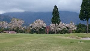 桜まつりゴルフ合宿#13