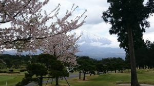 桜まつりゴルフ合宿#9