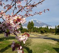 桜まつりゴルフ合宿#10