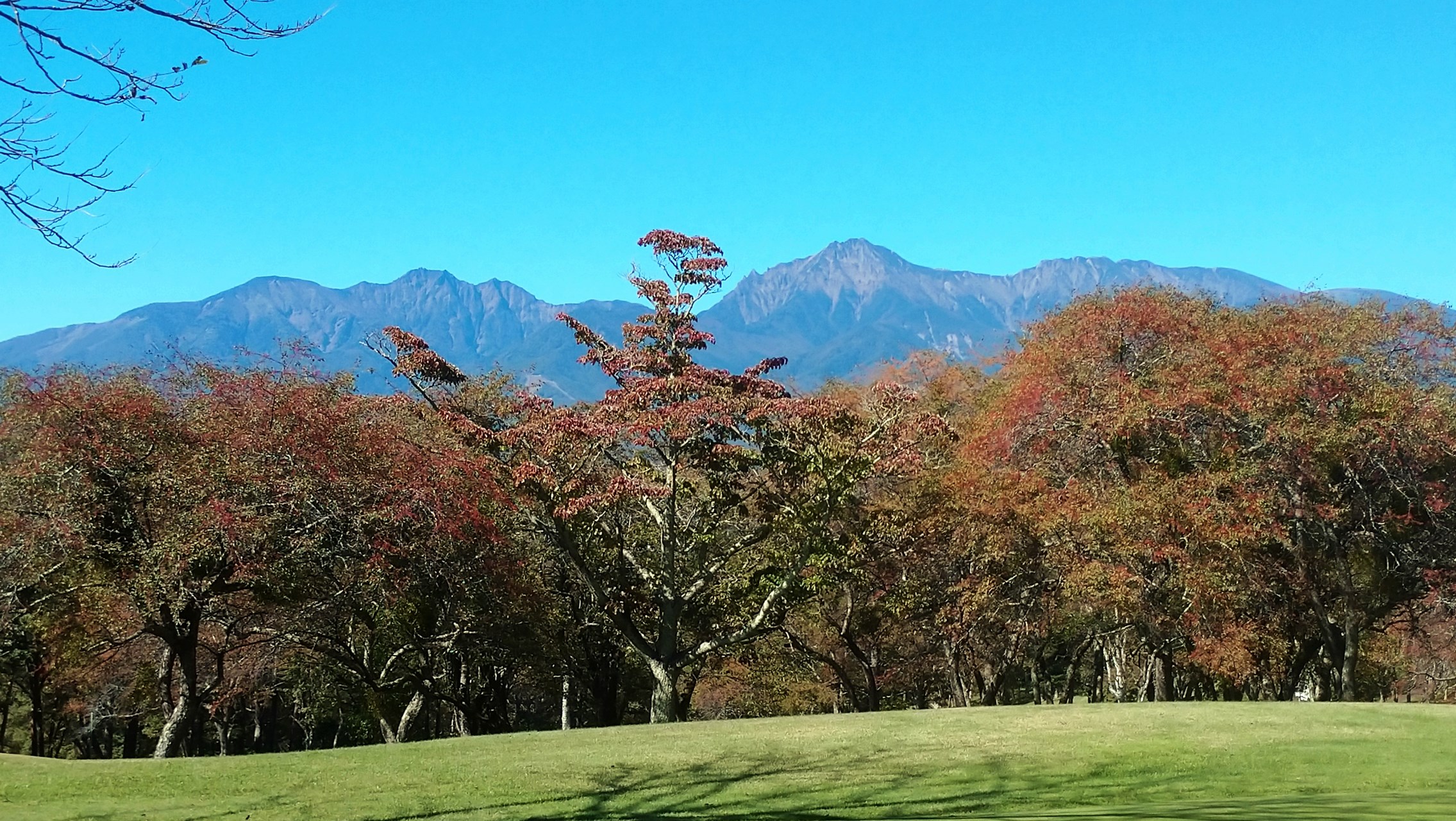 event_schedule_rep_241014_03