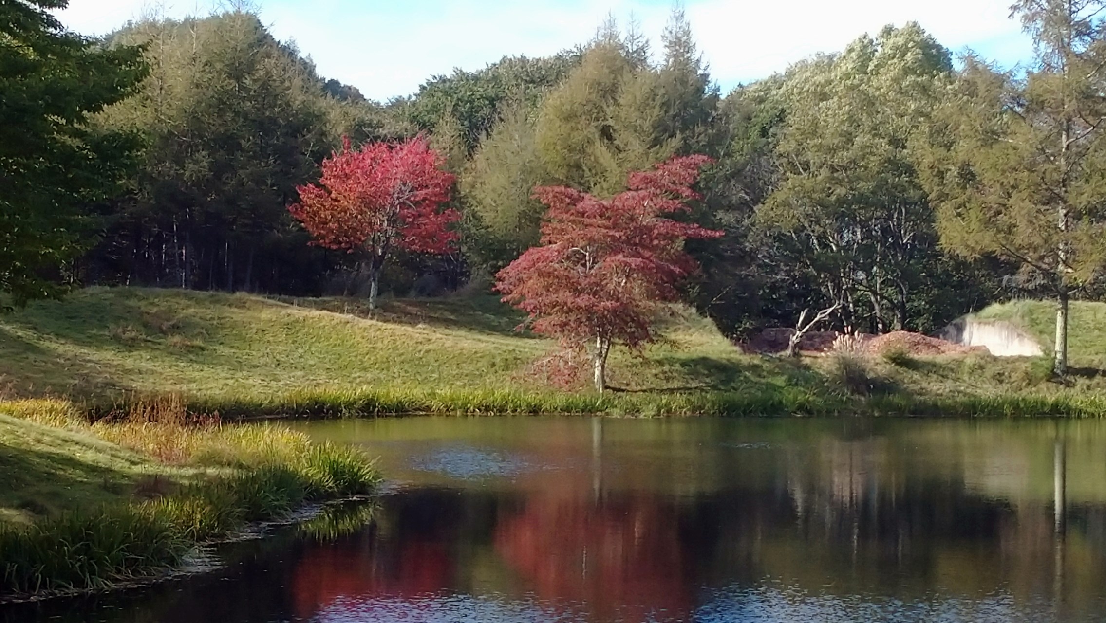 event_schedule_rep_241014_07