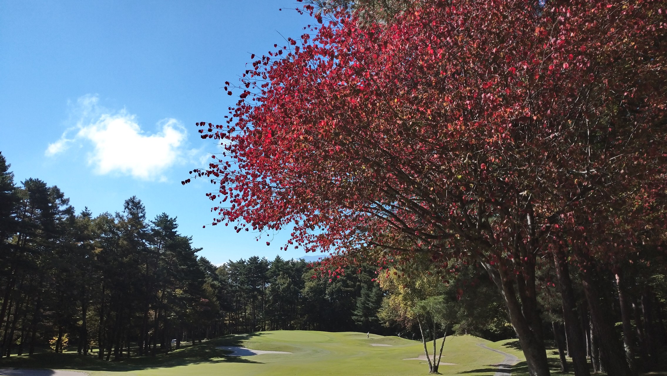 event_schedule_rep_241014_13