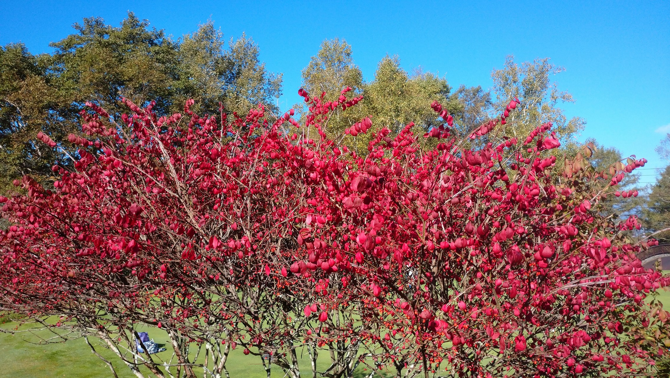 event_schedule_rep_241014_15